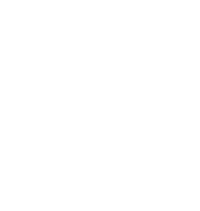 Dolfino logo